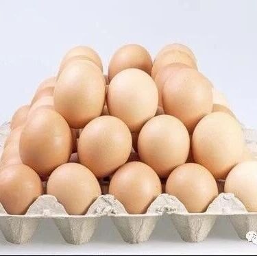 一只鸡亏4元:中秋前养鸡业为什么旺季变淡季